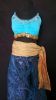 Kids Costumes to Hire - Jasmin - child (top, pants & belt)